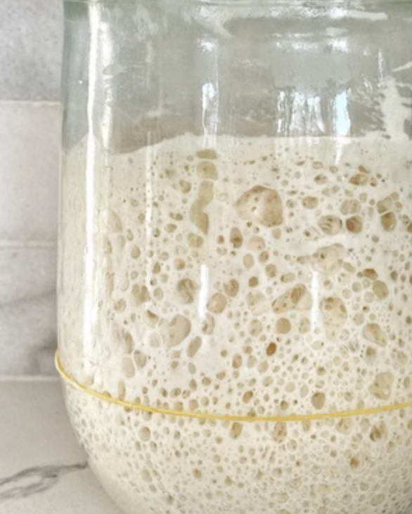 Sourdough Starter