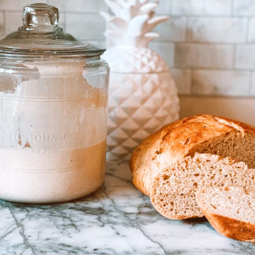 Sourdough Starter